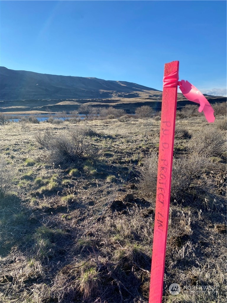 16154 Highway 243 Beverly, WA 99321 - Photo 18 of 37 a view of a yard