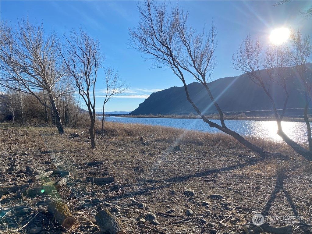 16154 Highway 243 Beverly, WA 99321 - Photo 31 of 37 a view of a yard with a tree
