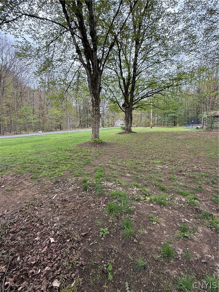 3428 McConnellsville Road Vienna, NY 13308 - Photo 5 of 14