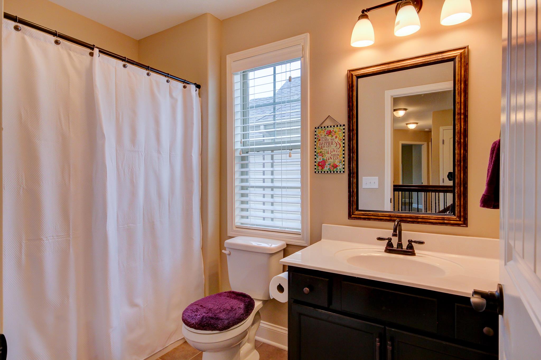 1012 Barnhill Road Clarksville, TN 37043 - Photo 12 of 18 a bathroom with a sink a toilet and a mirror
