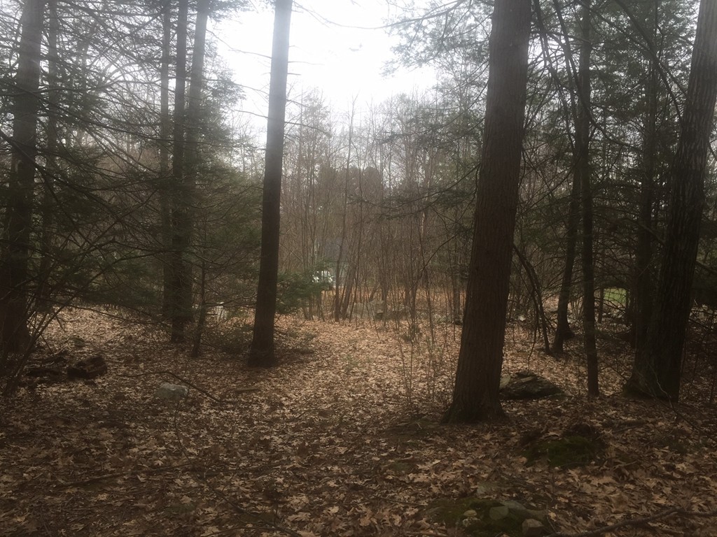 103 McGilpin Road Sturbridge, MA 01566 - Photo 6 of 11 Gallery Image 6