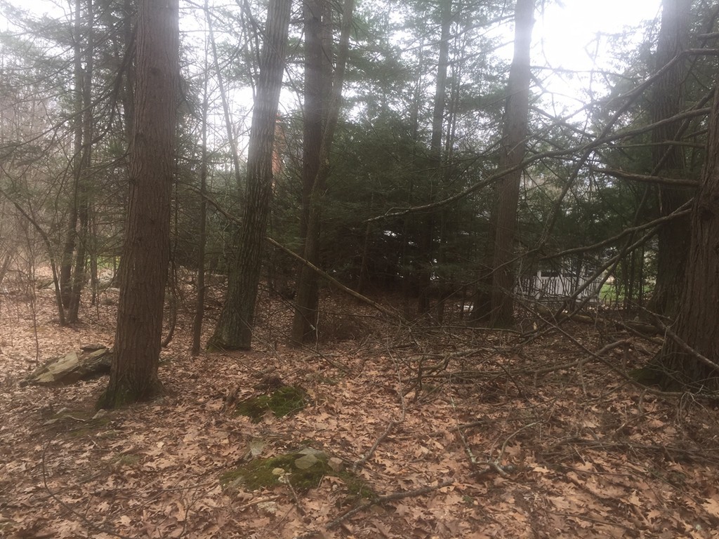 103 McGilpin Road Sturbridge, MA 01566 - Photo 8 of 11 Gallery Image 8