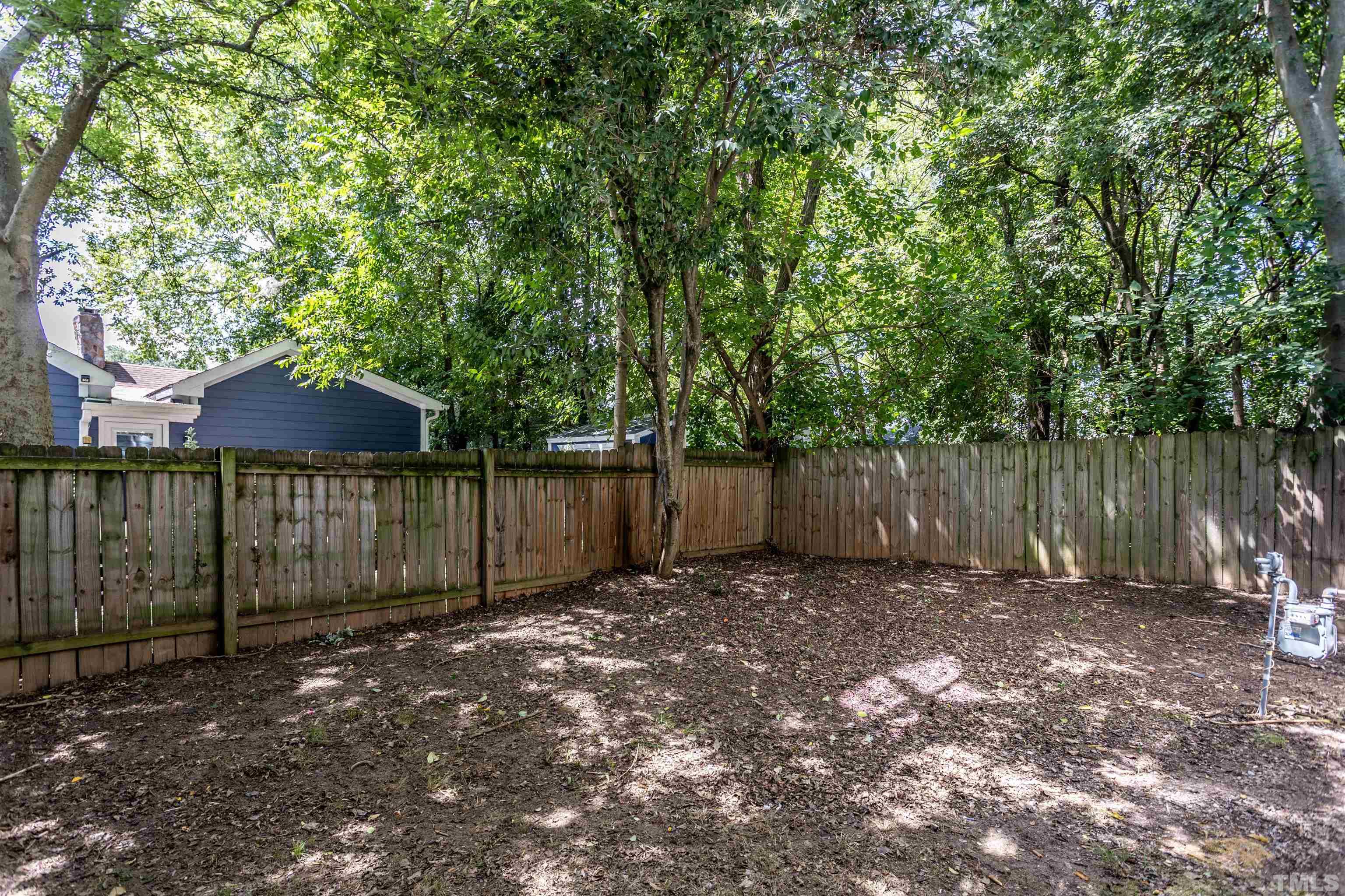312 Freeman Street Raleigh, NC 27601 - Photo 30 of 30 a garden covered with tall trees