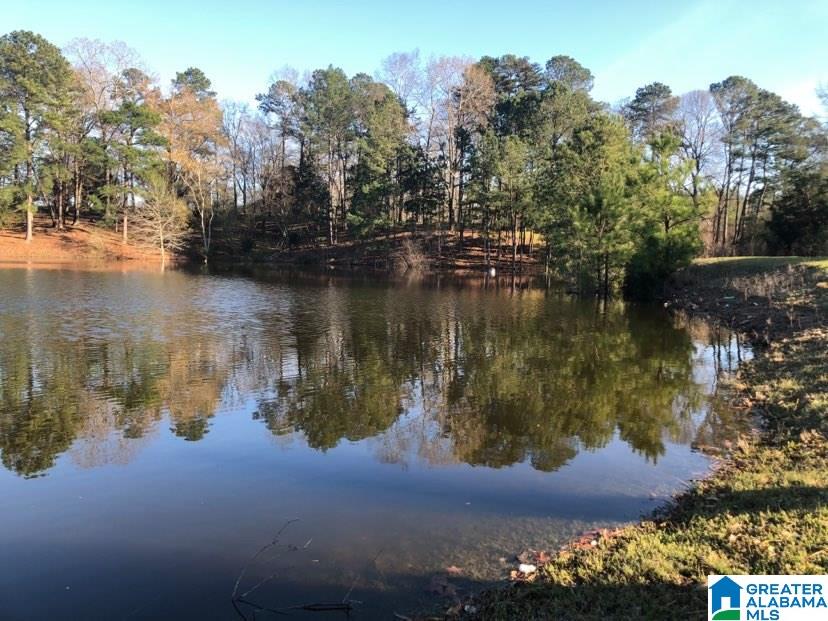 631 County Road 16 Clanton, AL 35045 - Photo 13 of 41
