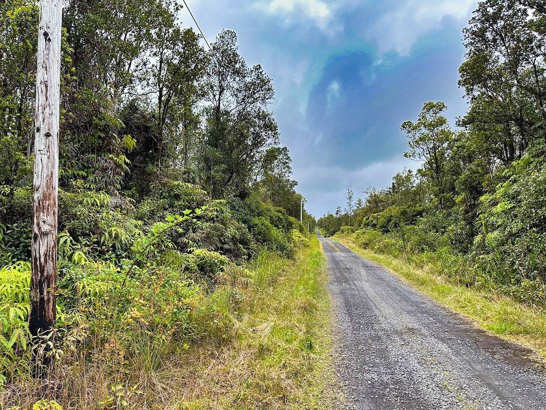 29 Ala Naulani Road Pahoa, HI 96778 - Photo 2 of 7 a view of a garden with plants