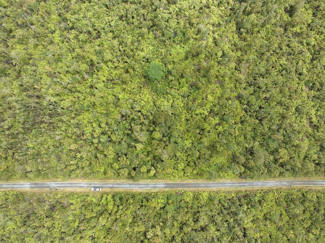 29 Ala Naulani Road Pahoa, HI 96778 - Photo 5 of 7 a bathroom with a small window