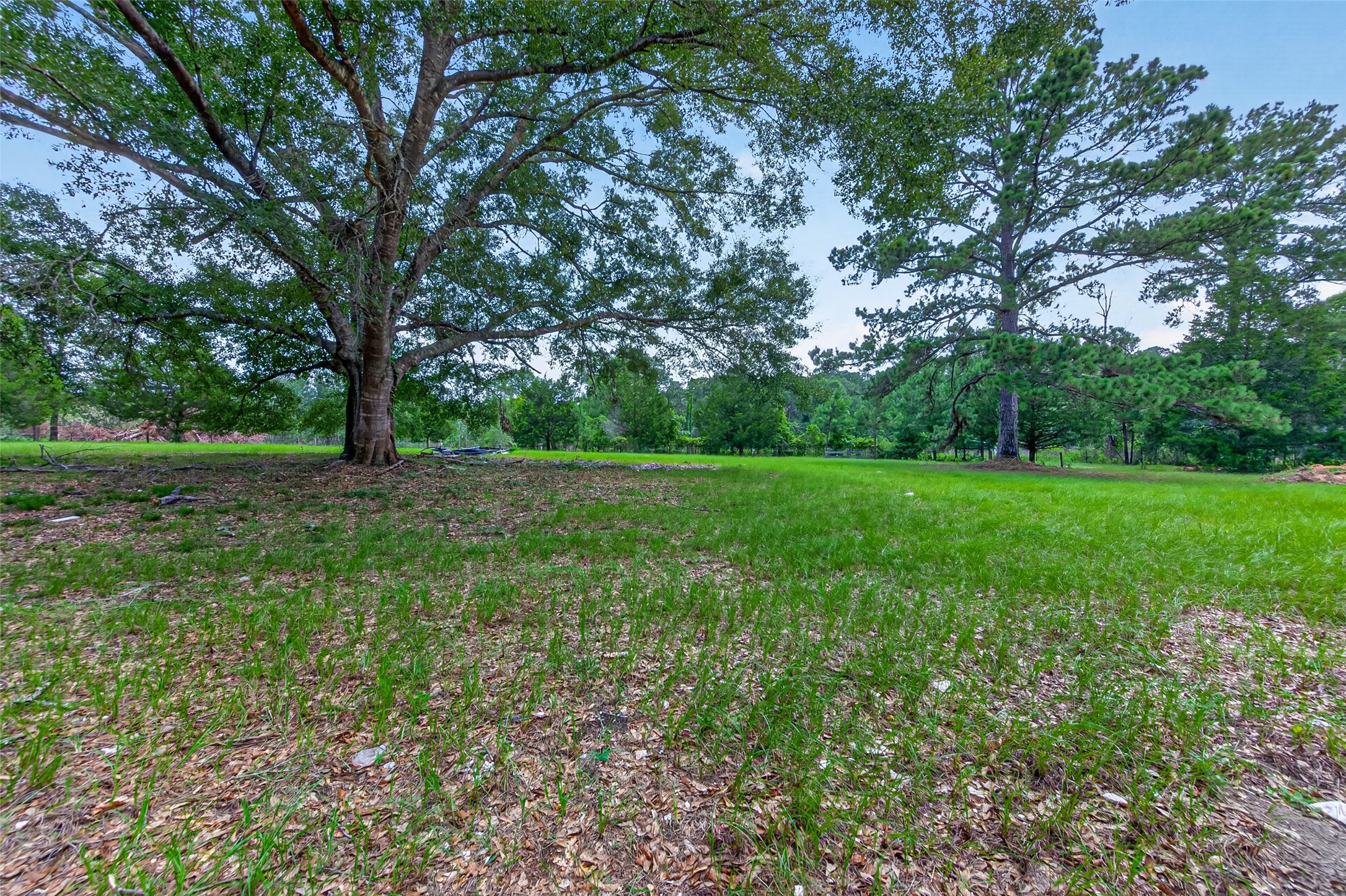 1241 Moody Road Cleveland, TX 77328 - Photo 28 of 47