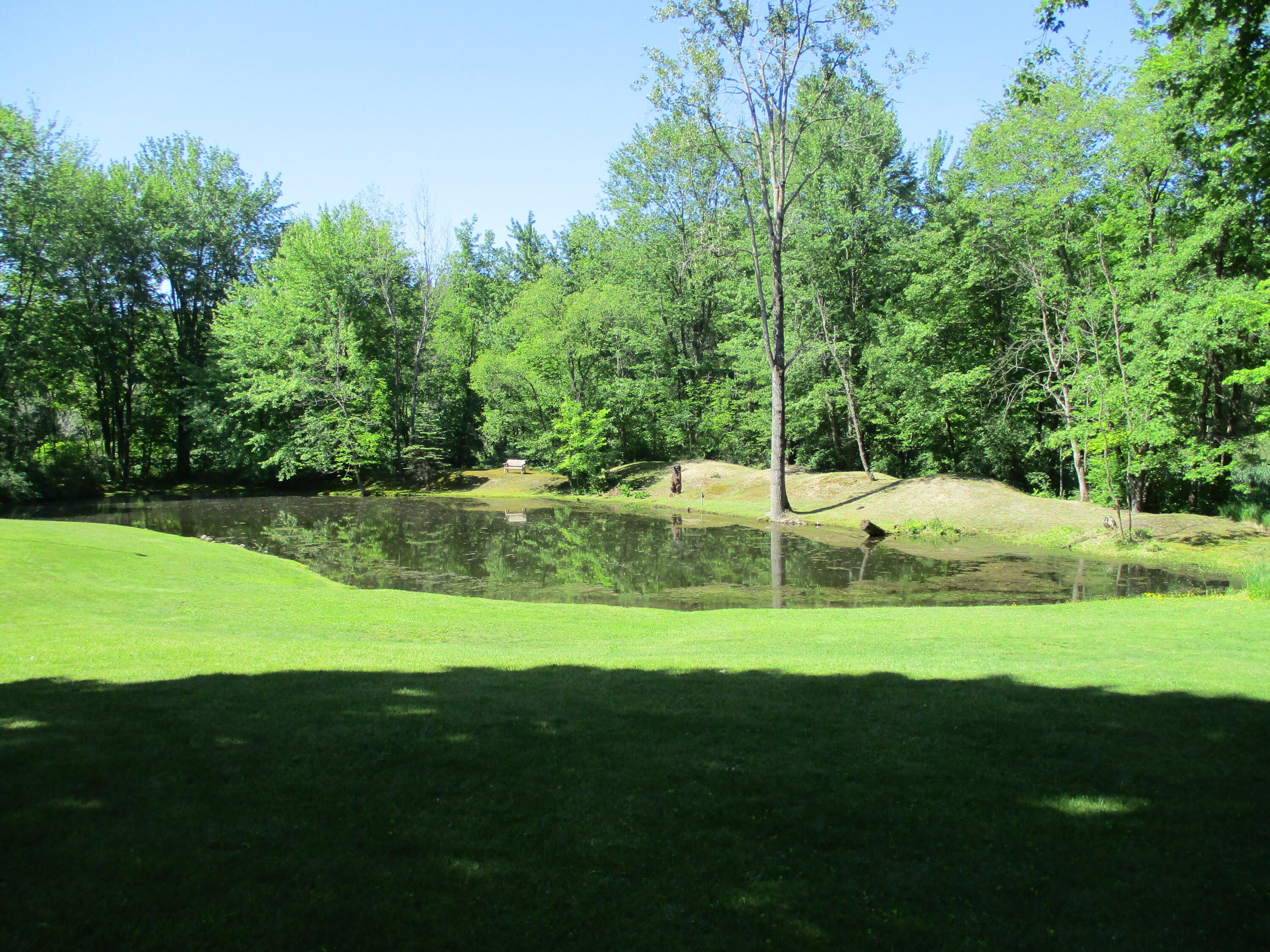 9775 West Muskrat Road Greenville, MI 48838 - Photo 5 of 29 9775 Muskrat Rd.