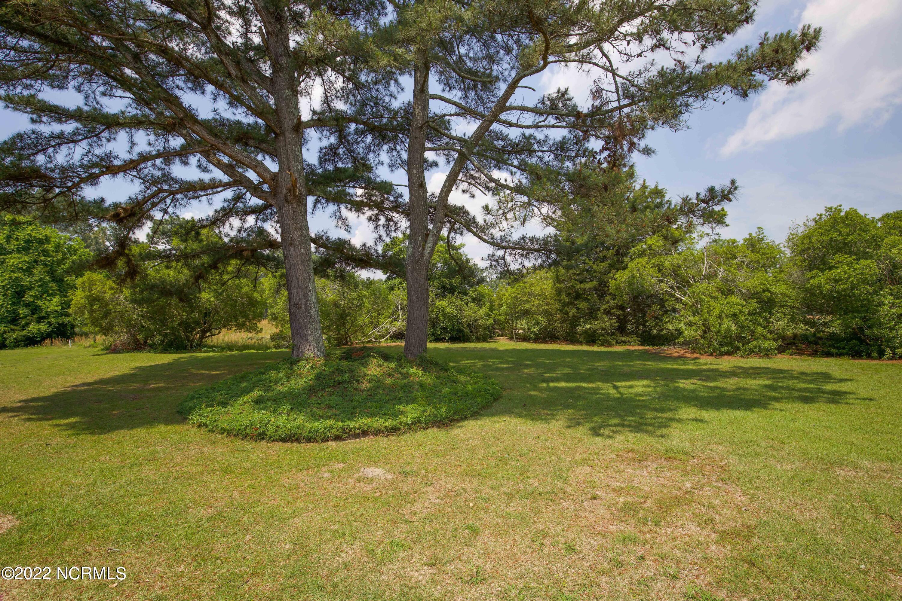 925 Morganton Road, Unit 2C Pinehurst, NC 28374 - Photo 41 of 42 backyard