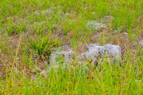 $85,000 | 22254-22255 Long Shot, Horseshoe Bay, TX 78657