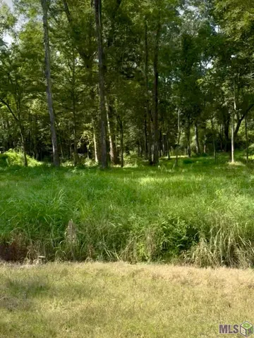 $77,350 | Lot A-1 Lot A-1 B Lemon Road, Slaughter, LA 70777