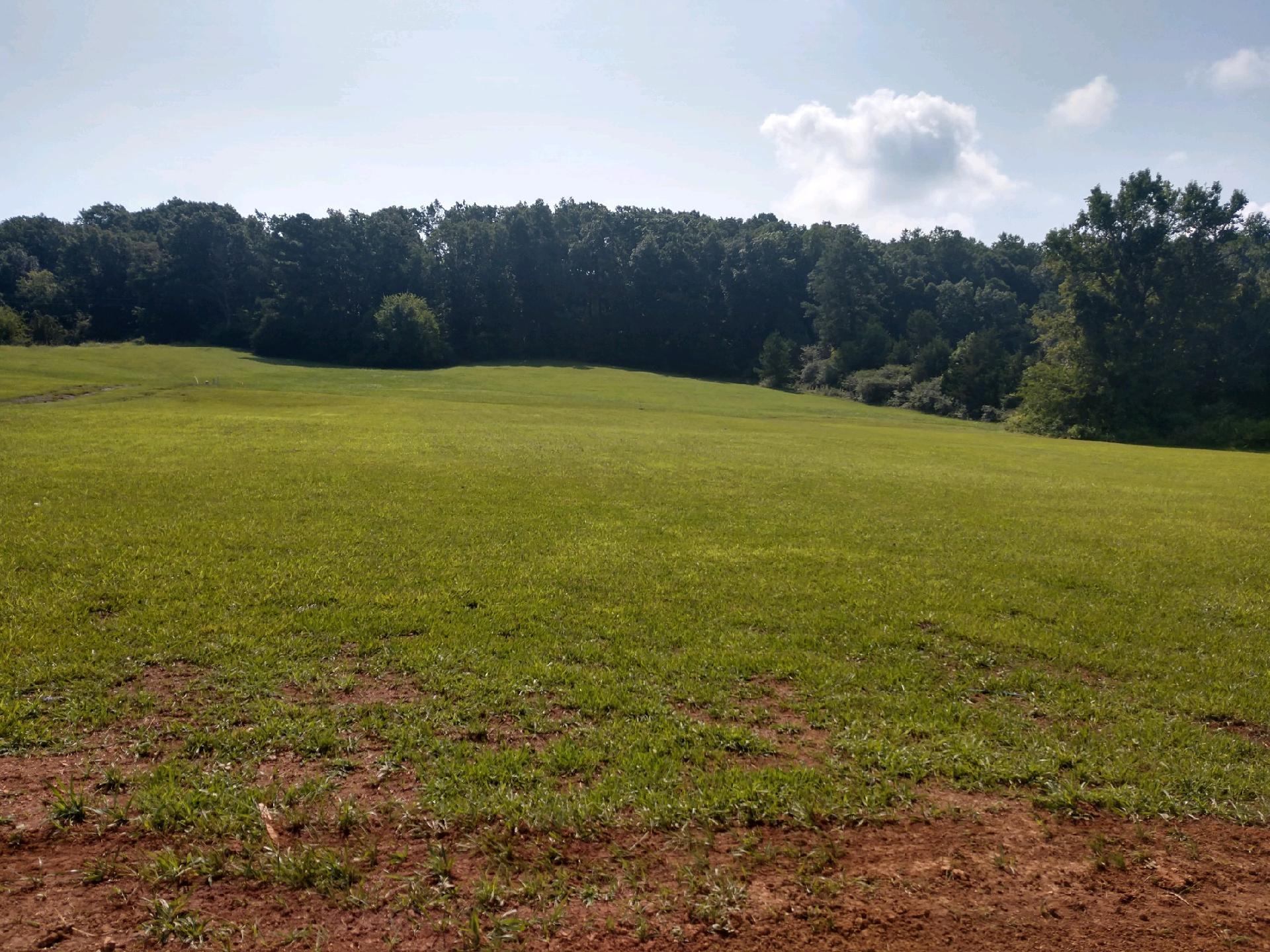 201 Lead Mine Valley Road Southwest Cleveland, TN 37311 - Photo 10 of 10 backyard