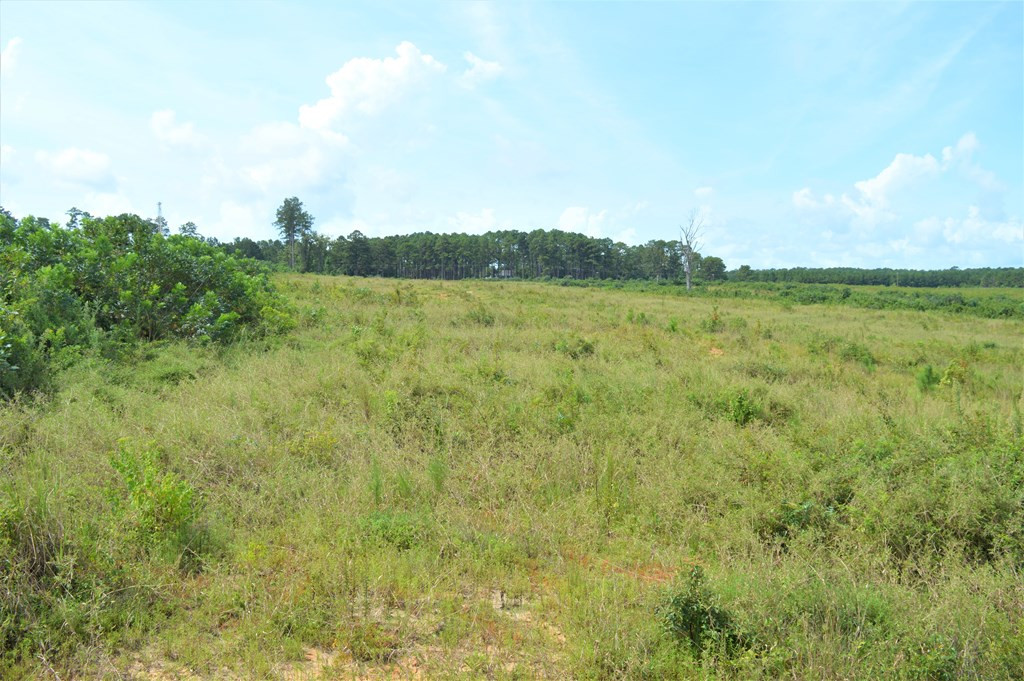 ... Old Liberty Road McComb, MS 39648 - Photo 8 of 12 Photo 8