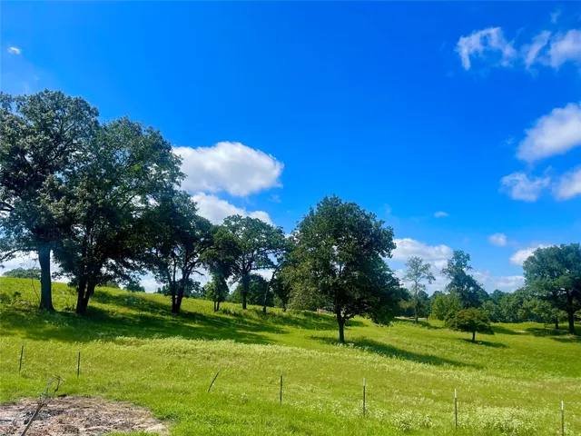 $815,000 | 917 An County Road 3051, Frankston, TX 75763