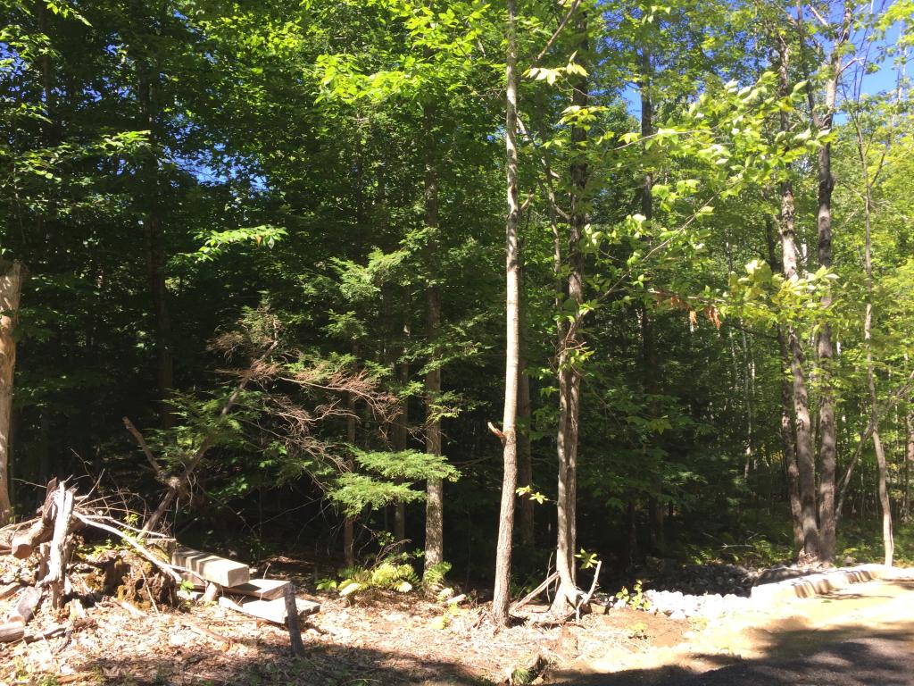 0 Meredith Neck Road, Unit LOT 1 Meredith, NH 03253 - Photo 11 of 18