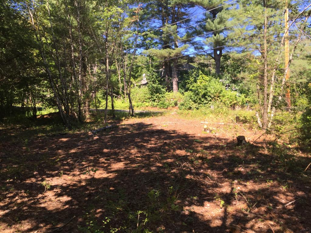 0 Meredith Neck Road, Unit LOT 1 Meredith, NH 03253 - Photo 13 of 18
