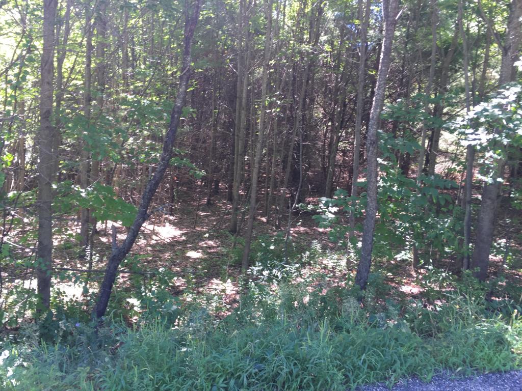 0 Meredith Neck Road, Unit LOT 1 Meredith, NH 03253 - Photo 14 of 18