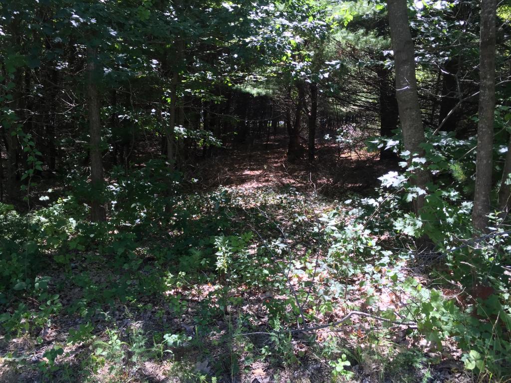 0 Meredith Neck Road, Unit LOT 1 Meredith, NH 03253 - Photo 15 of 18