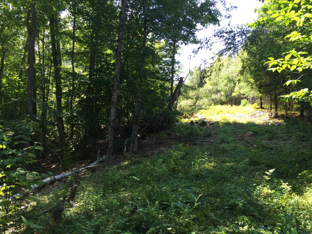 0 Meredith Neck Road, Unit LOT 1 Meredith, NH 03253 - Photo 16 of 18