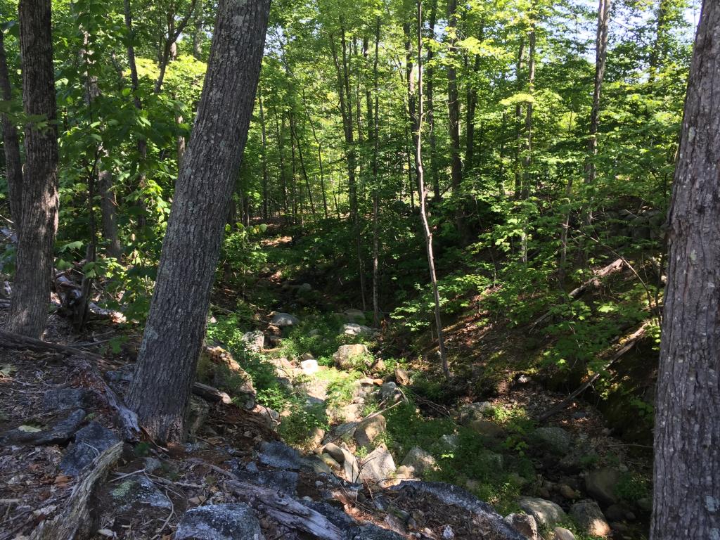 0 Meredith Neck Road, Unit LOT 1 Meredith, NH 03253 - Photo 17 of 18