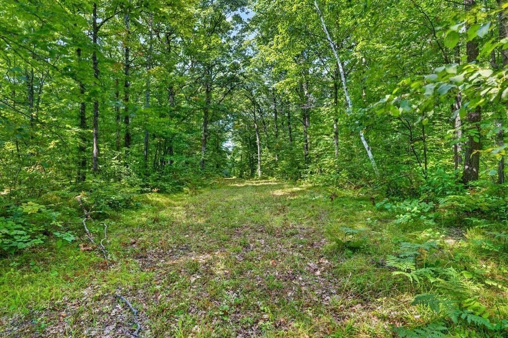 2 Comet Exeland, WI 54835 - Photo 12 of 26 Gallery Image 12