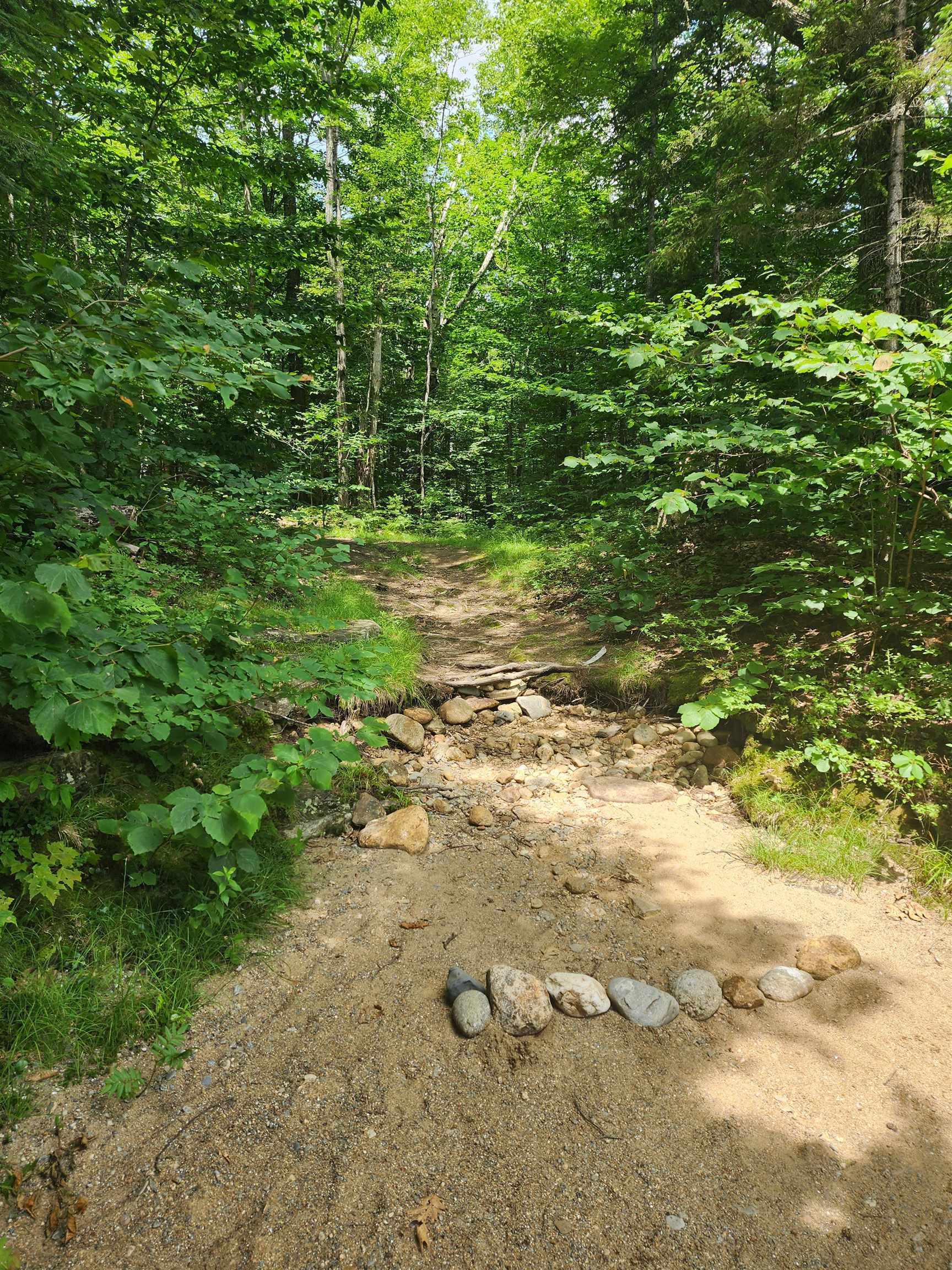 47 Dana Place Road, Unit 8 Jackson, NH 03846 - Photo 26 of 36 Gallery Image 26