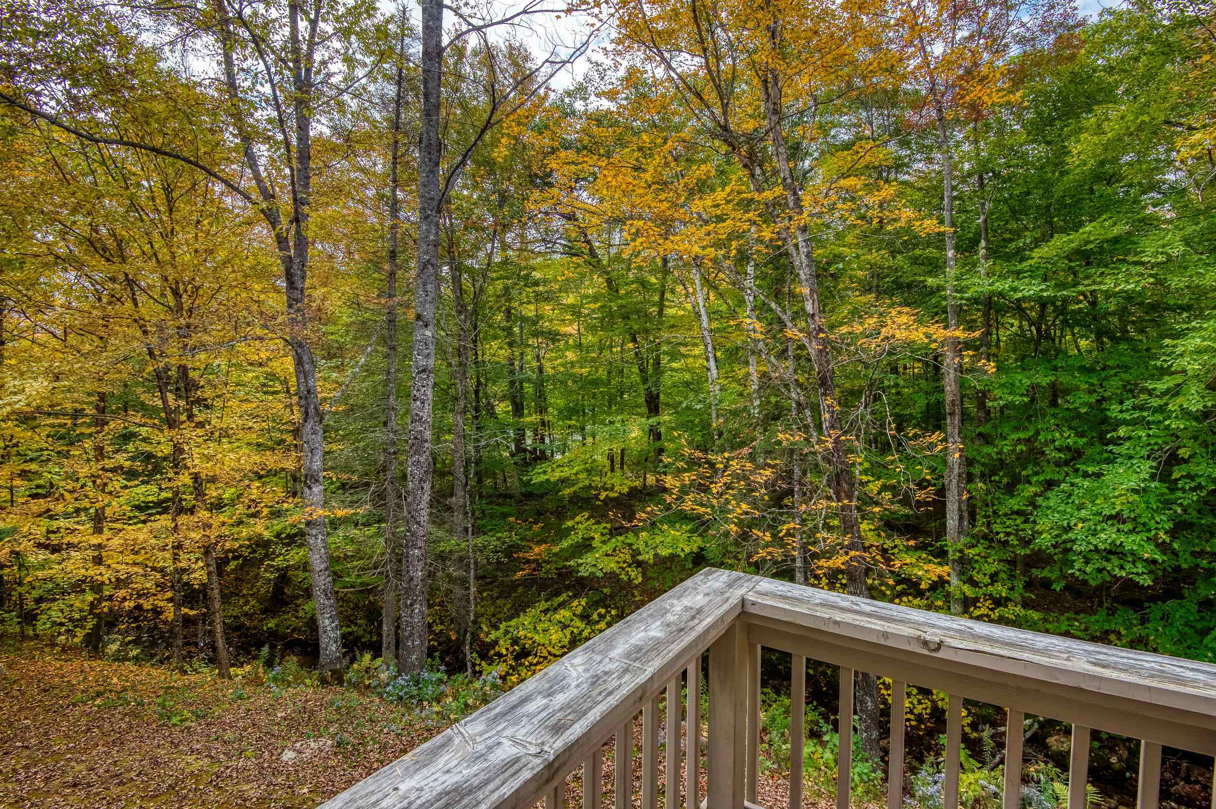 47 Dana Place Road, Unit 8 Jackson, NH 03846 - Photo 34 of 36 Gallery Image 34
