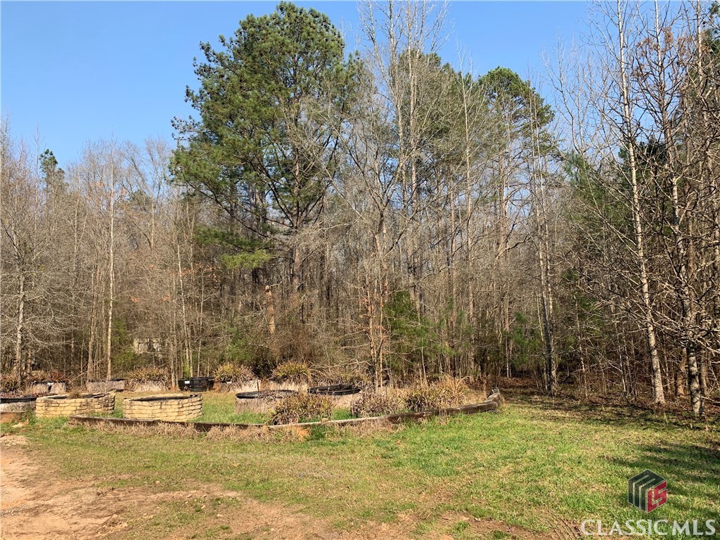 3003 Salem Road Watkinsville, GA 30677 - Photo 8 of 29