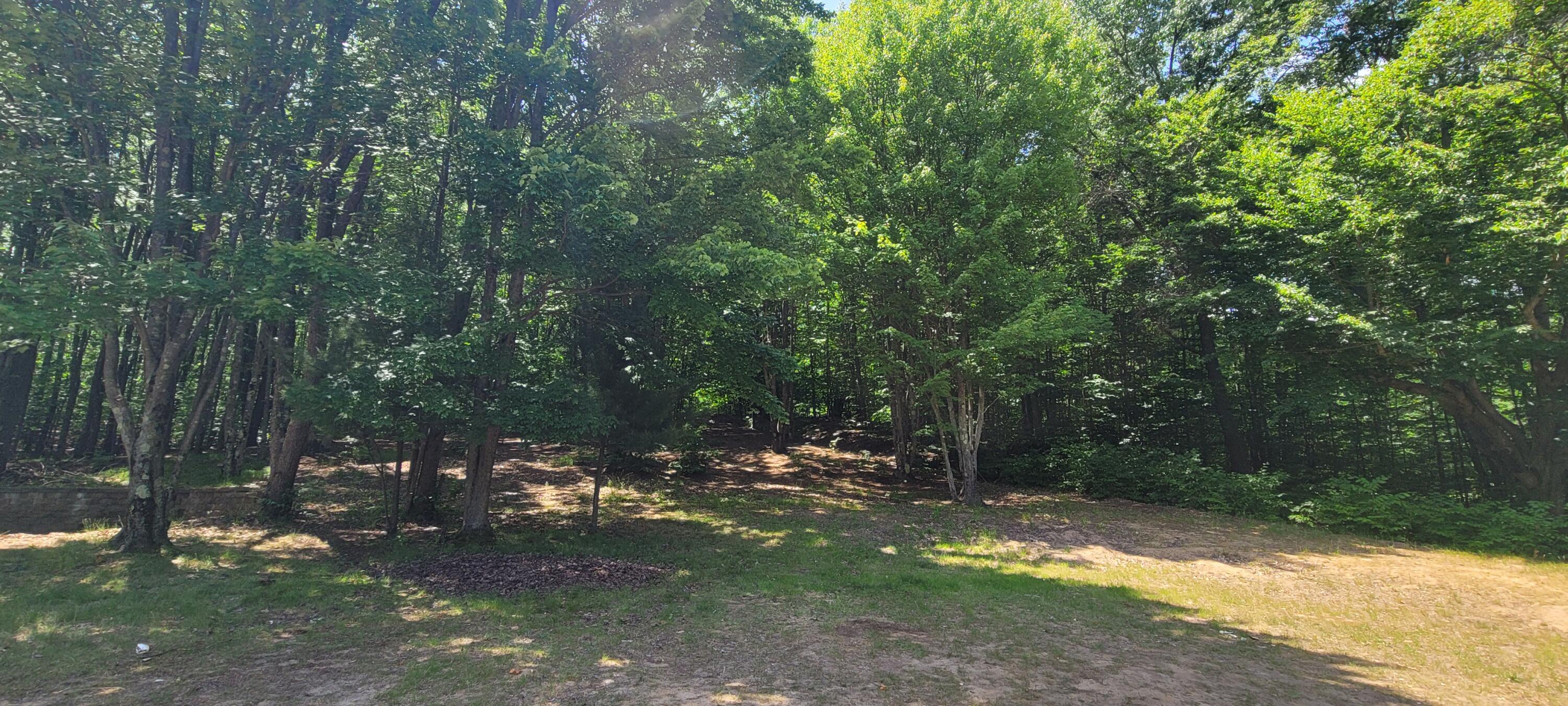 4551 Deer Cove Road Custer, MI 49405 - Photo 2 of 20 20250617_141946