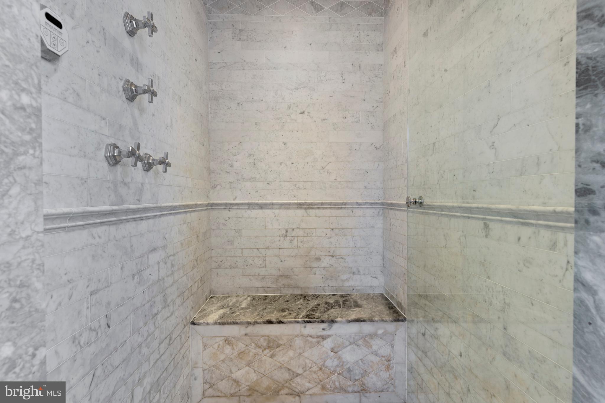 415 South Waterloo Road Devon, PA 19333 - Photo 68 of 127 Primary Steam Shower