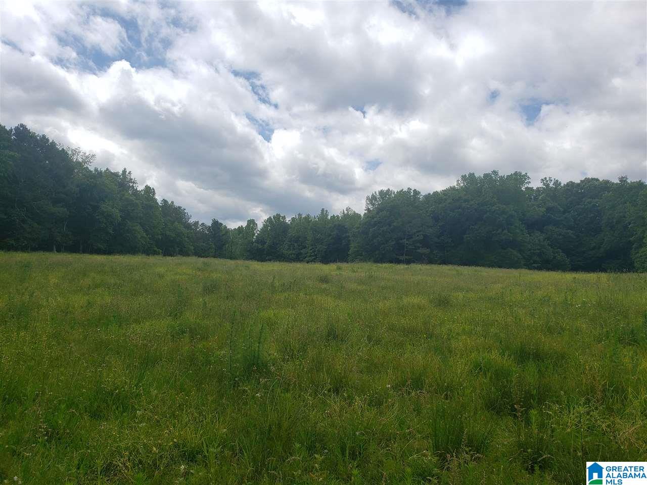 0 County Road 36 Heflin, AL 36264 - Photo 11 of 11