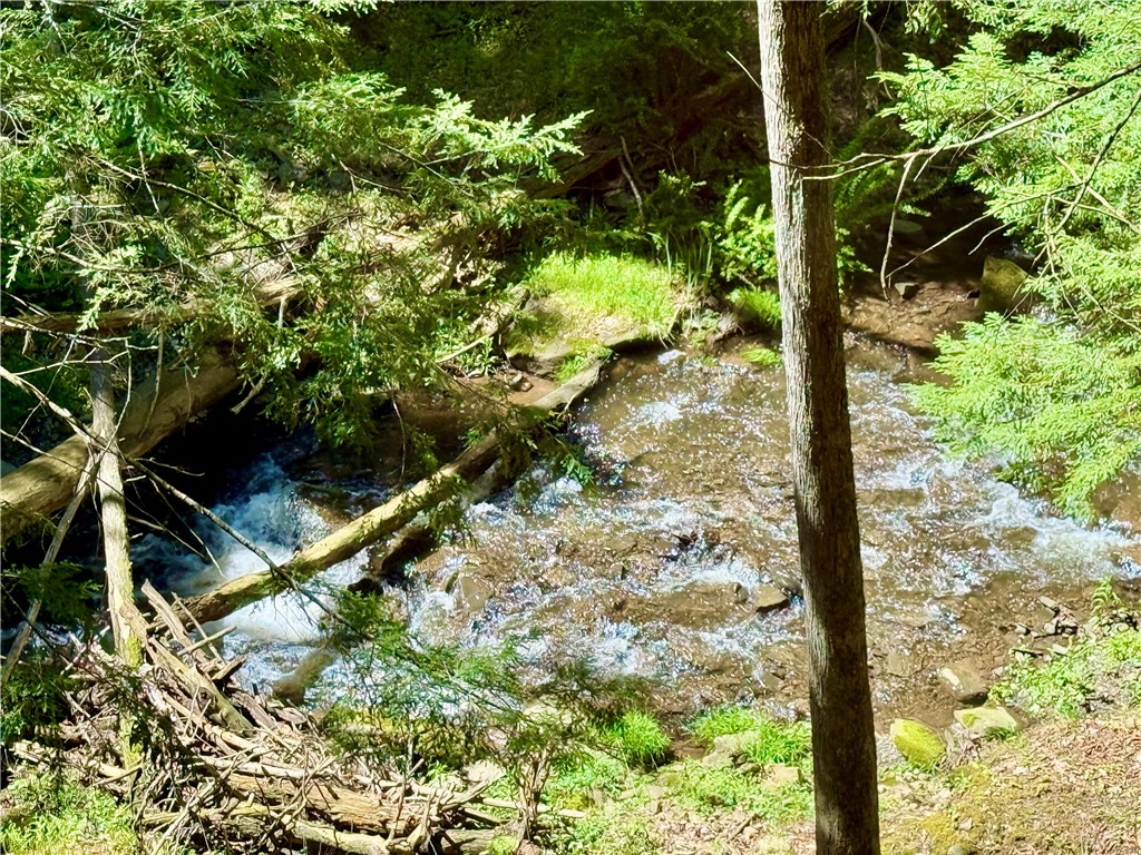 19-21 Ravine Parkway North Oneonta, NY 13820 - Photo 47 of 50