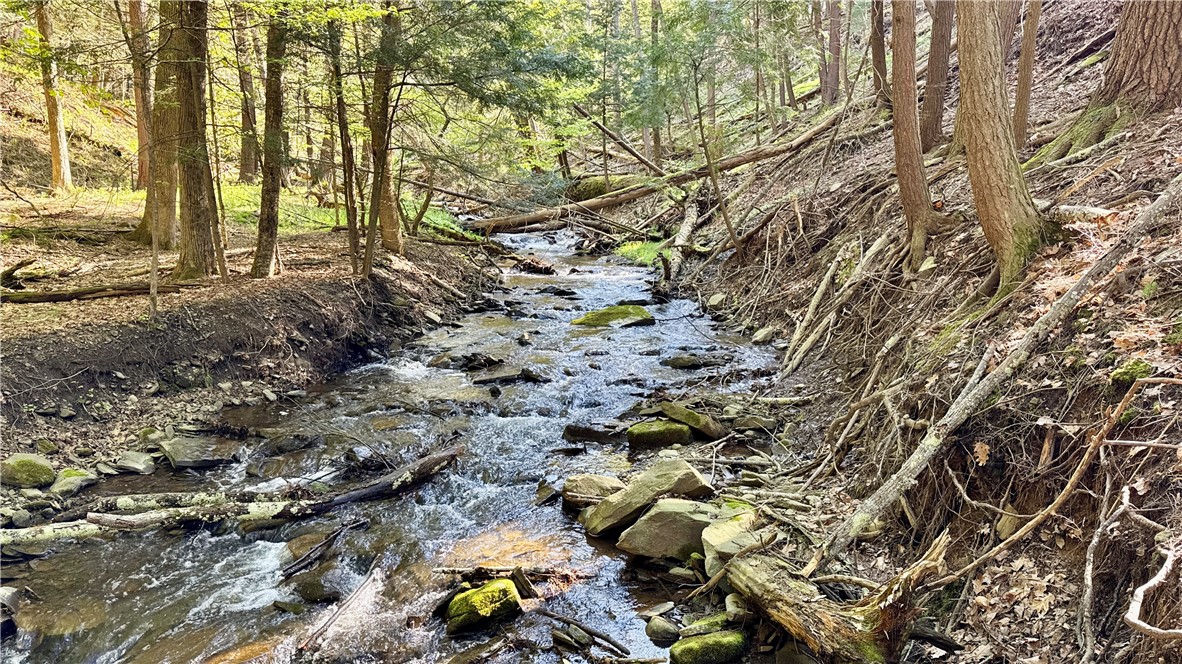 19-21 Ravine Parkway North Oneonta, NY 13820 - Photo 48 of 50