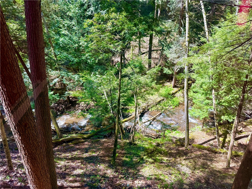 19-21 Ravine Parkway North Oneonta, NY 13820 - Photo 6 of 50