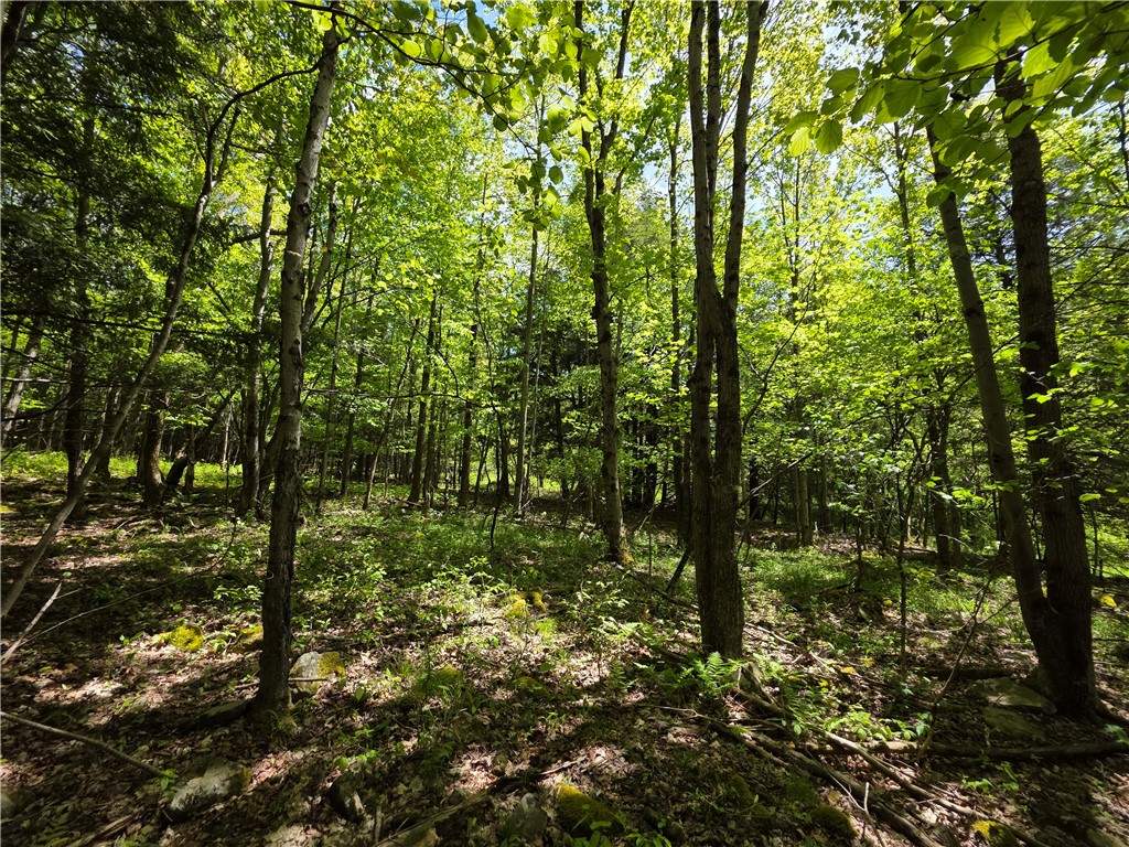 3040 Quigg Hollow Road Andover, NY 14806 - Photo 38 of 46