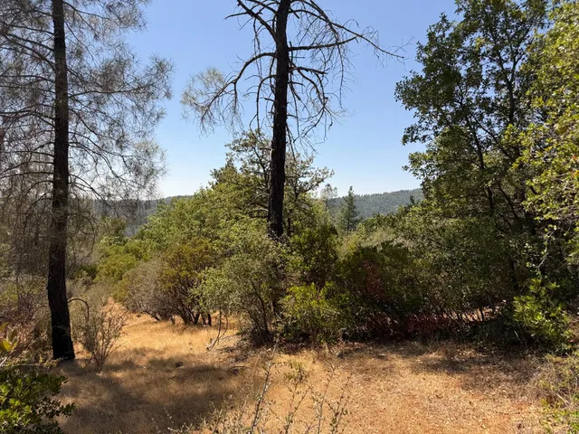 a view of a yard next to a road