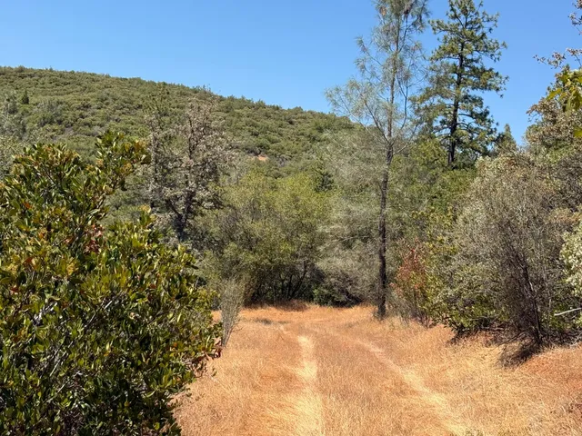 a view of a yard covered with snow in the background