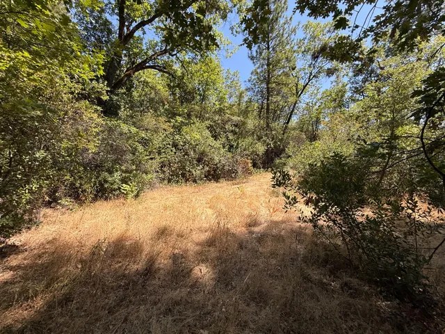 a view of outdoor space and covered with trees