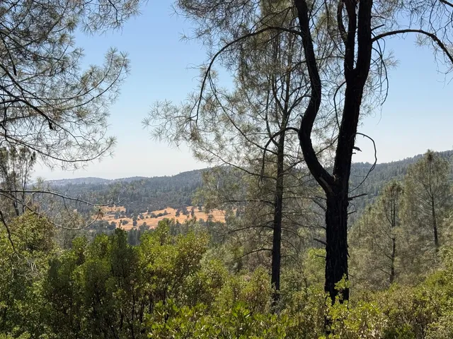 a view of mountain view with lots of trees