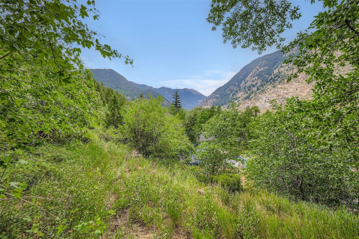 817 Valley View Drive Georgetown, CO 80444 - Photo 27 of 29 a view of a yard