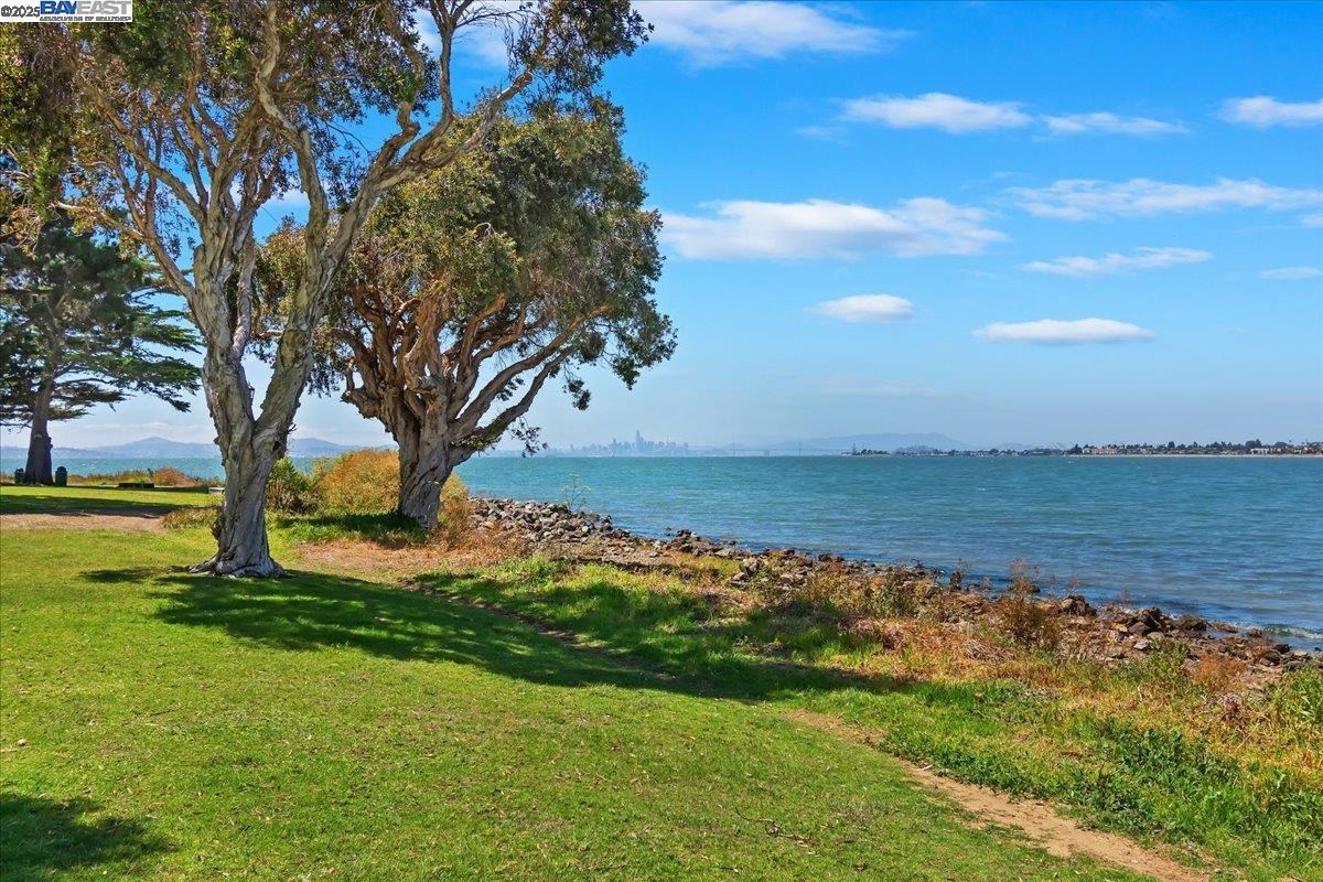 a view of lake with houses