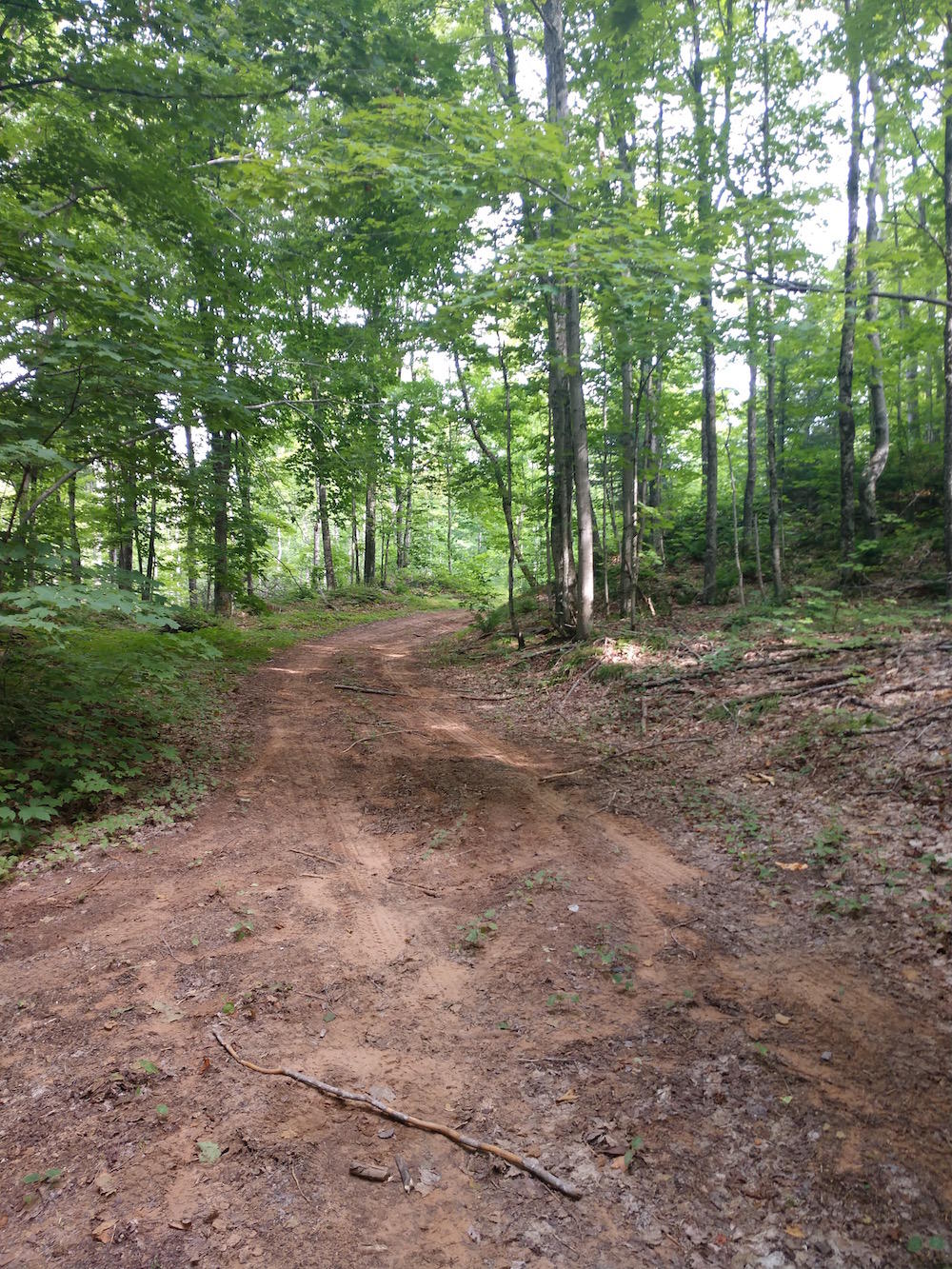Tbd North Maple Block Road Paradise, MI 49768 - Photo 14 of 18 Gallery Image 14