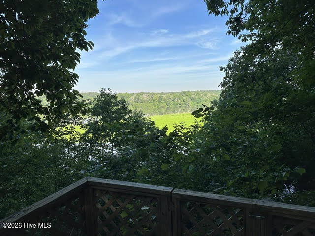 194 Ingram Mill Road Ellerbe, NC 28338 - Photo 16 of 28