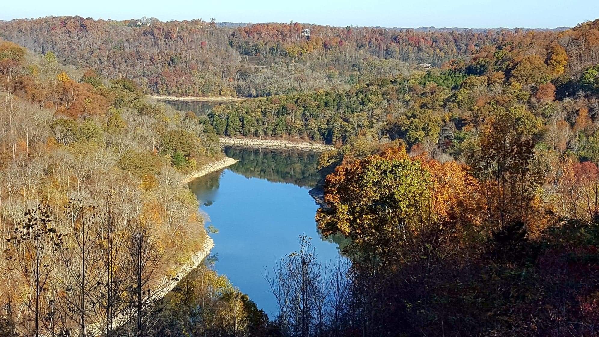 975 Rolling Acres Road Smithville, TN 37166 - Photo 1 of 26 a view of a forest with a mountain