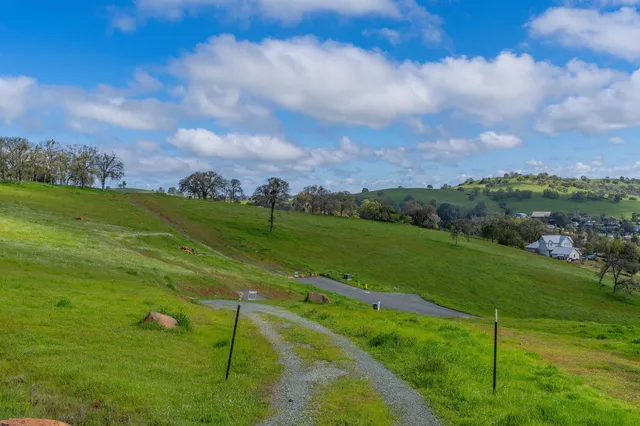 a view of a golf course with a garden