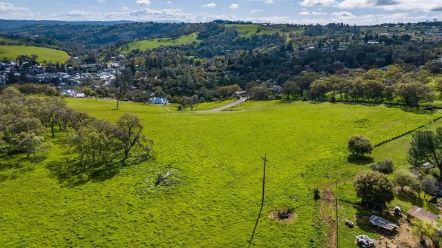 a view of a garden with an ocean