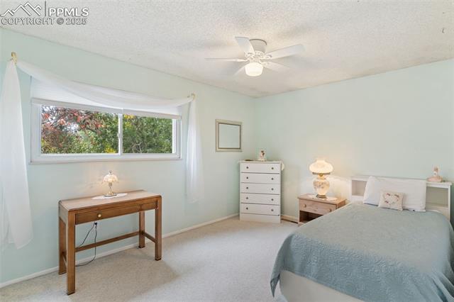 580 Gilcrest Road Colorado Springs, CO 80906 - Photo 17 of 44