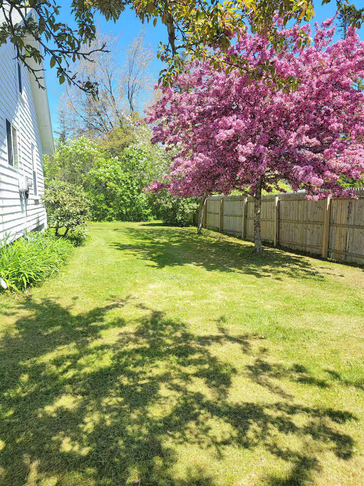 14 Seal Cove Road Southwest Harbor, ME 04679 - Photo 51 of 57 Side yard