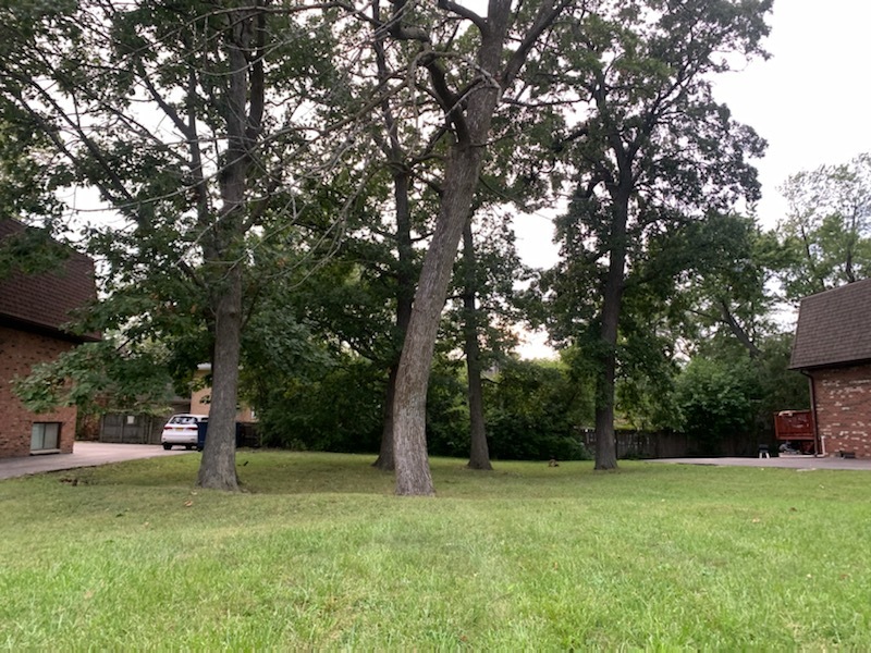 a fire hydrant in the middle of a field