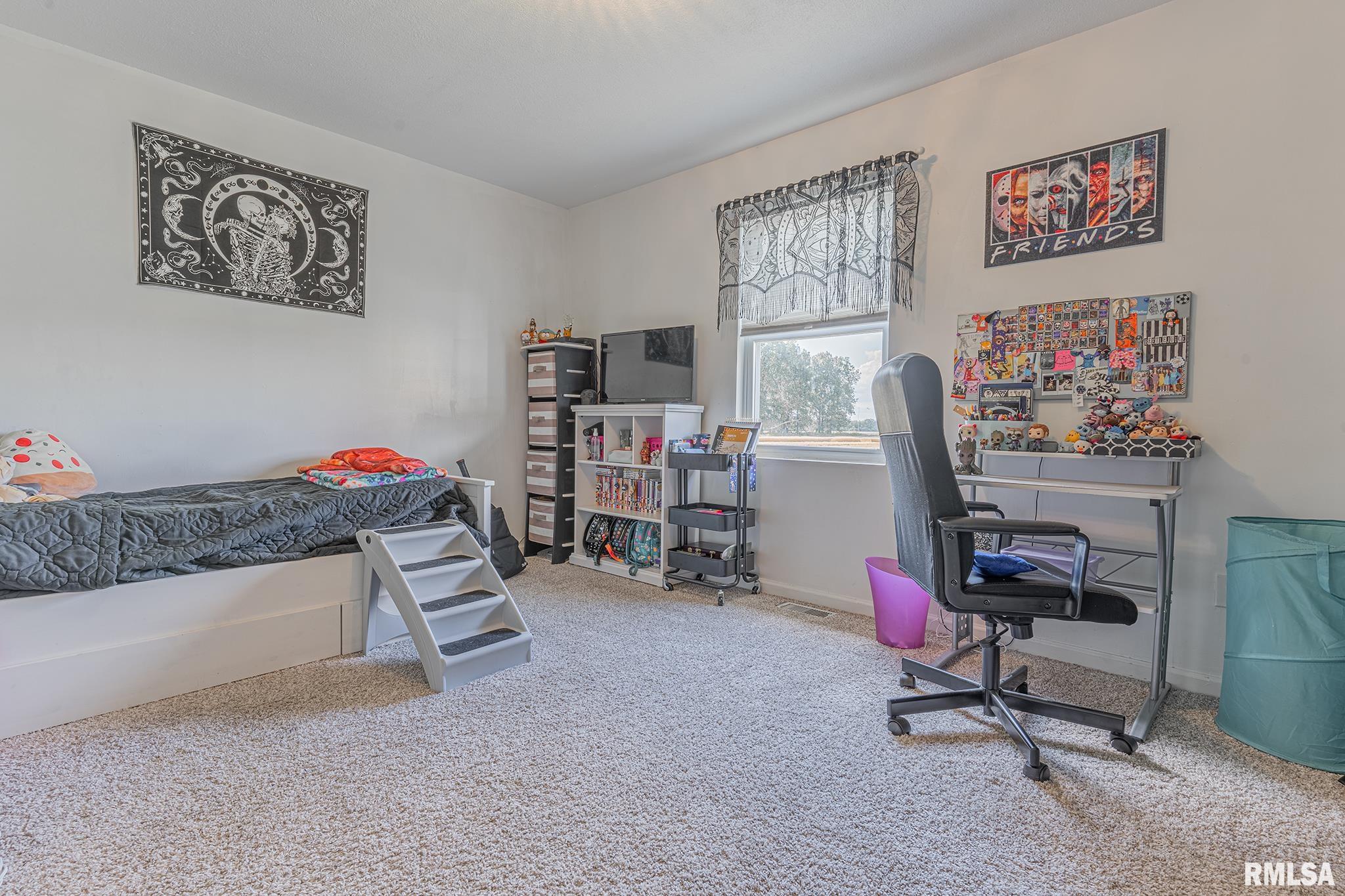 2226 Mills Cart Road Salem, IL 62881 - Photo 23 of 37